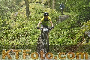 Photo 4241898
