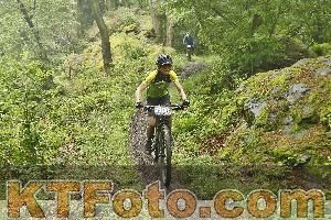 Photo 4241899