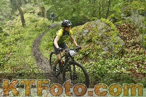 Photo 4241901