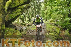 Photo 4241912