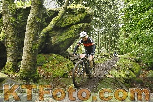 Photo 4241920