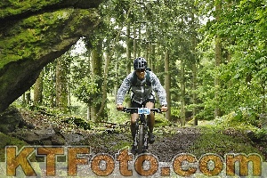 Photo 4241926