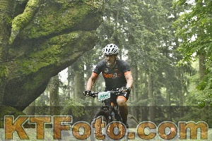 Photo 4242039