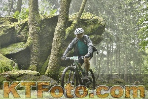 Photo 4242045