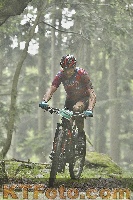 Photo 4242065