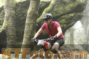 Photo 4242298