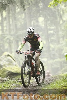 Photo 4242323