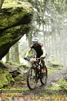 Photo 4242325