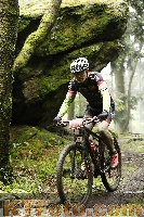 Photo 4242326