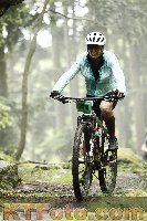 Photo 4242438