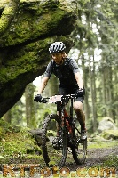 Photo 4242462