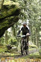 Photo 4242468