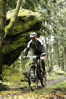 Photo 4242469