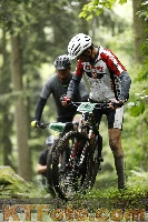 Photo 4242505