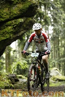 Photo 4242512