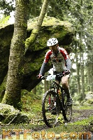Photo 4242514