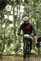 Photo 4242521