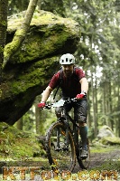 Photo 4242552
