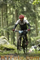 Photo 4242560
