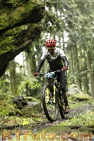 Photo 4242562