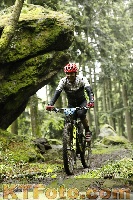 Photo 4242563