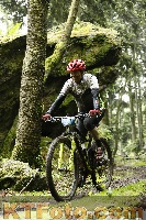 Photo 4242564