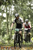 Photo 4242571