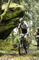 Photo 4242573