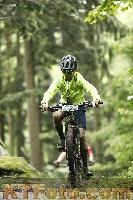 Photo 4242583