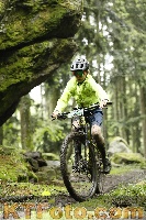 Photo 4242586