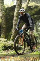 Photo 4242660