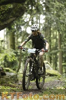 Photo 4242674