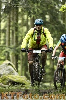 Photo 4242684