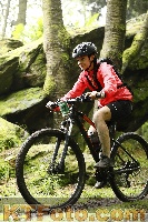 Photo 4242711
