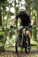 Photo 4242730