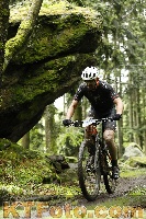 Photo 4242731
