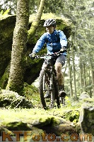 Photo 4242833