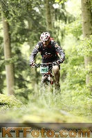 Photo 4243043