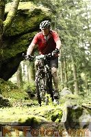 Photo 4243171