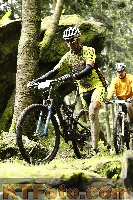 Photo 4243231