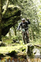 Photo 4243342