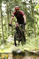 Photo 4243347