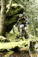 Photo 4243364