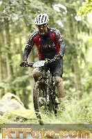 Photo 4243423