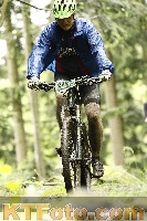 Photo 4243441