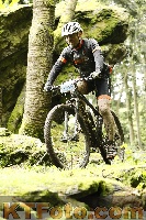 Photo 4243447