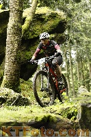 Photo 4243534