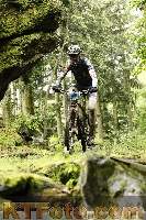 Photo 4243540