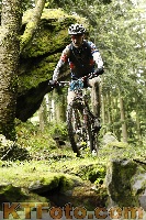 Photo 4243541