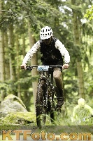 Photo 4243543